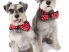 Lilly&Rosie__20
