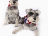 Lilly&Rosie__40