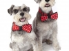 Lilly&Rosie__42