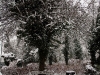 ‘Snow Day’- Essex, England