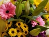 Wedding Reception